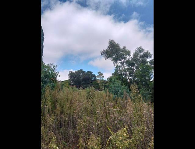 LAND FOR SALE IN ROODEKRANS